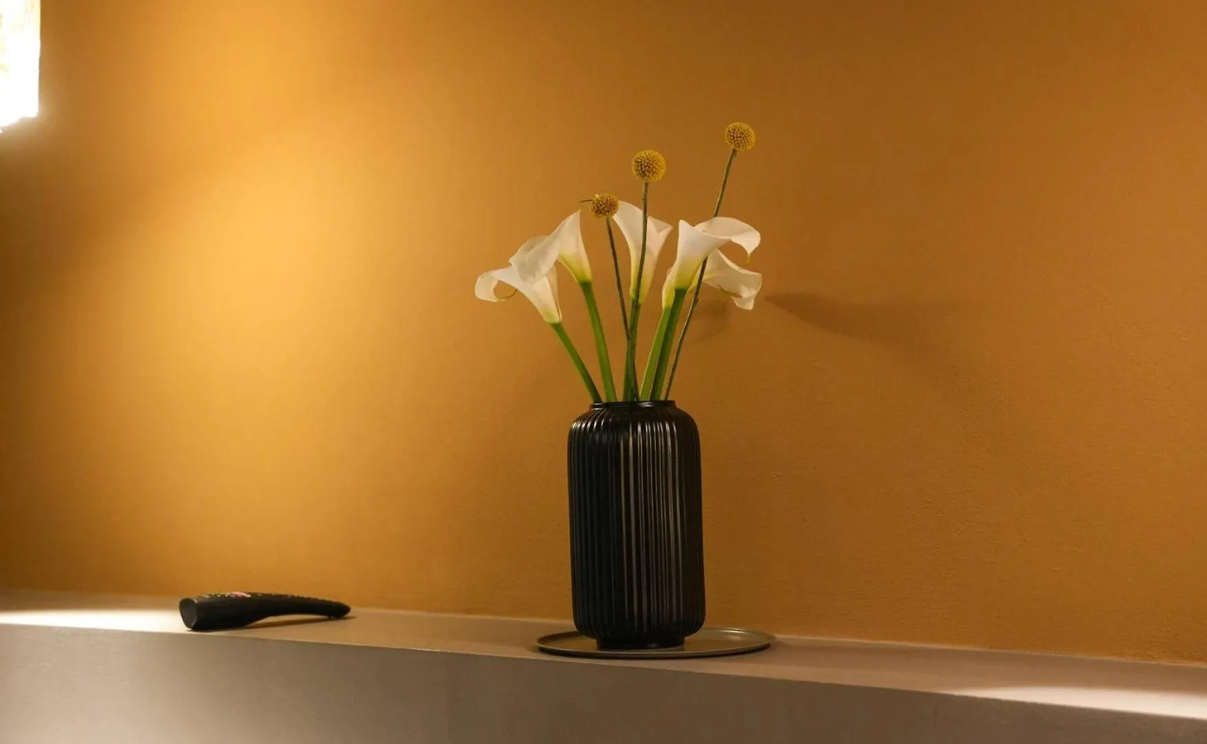 Bed and Breakfast Sant'Eufemia 30 Modena